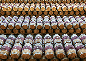 curated whiskey and fine wine investment